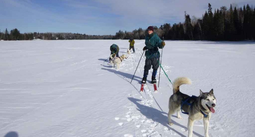 a line of cross country skiers, each attached to one sled dog make their way across a vast snowy landscape